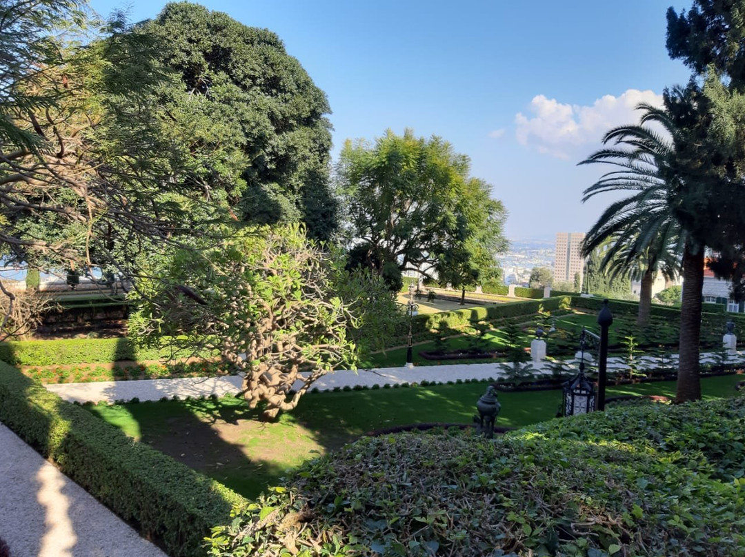 巴哈伊花园及金顶景点图片