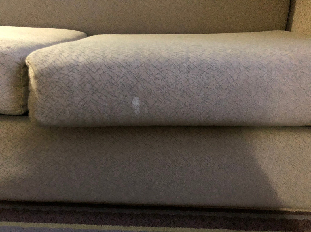 Super 8 by Wyndham Green Bay Near Stadium主图