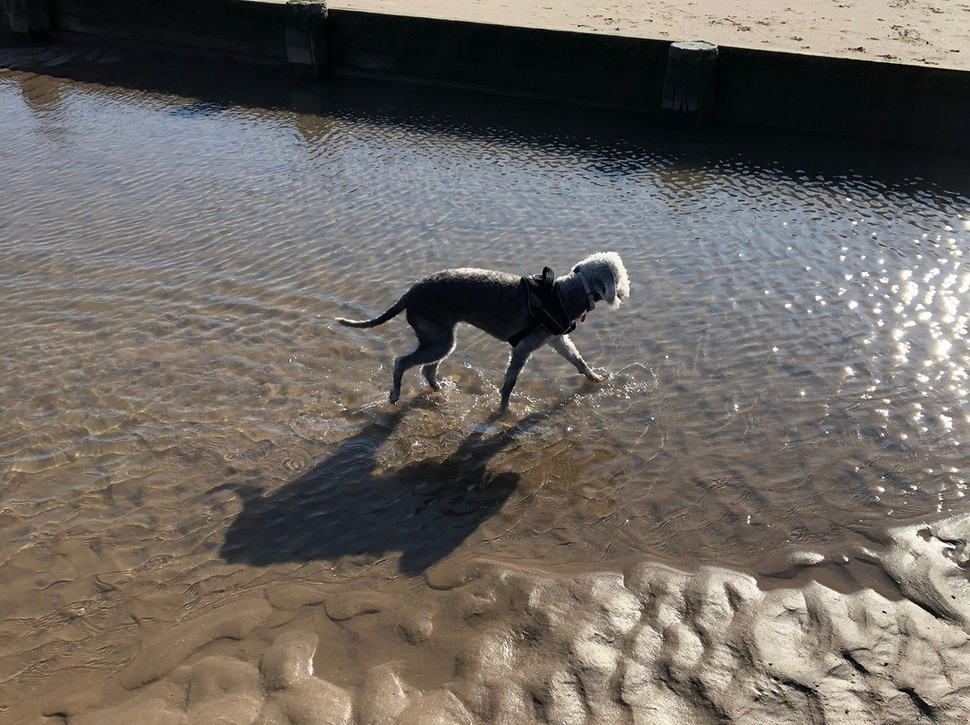 Ackroyds-斯基普顿必去景点
