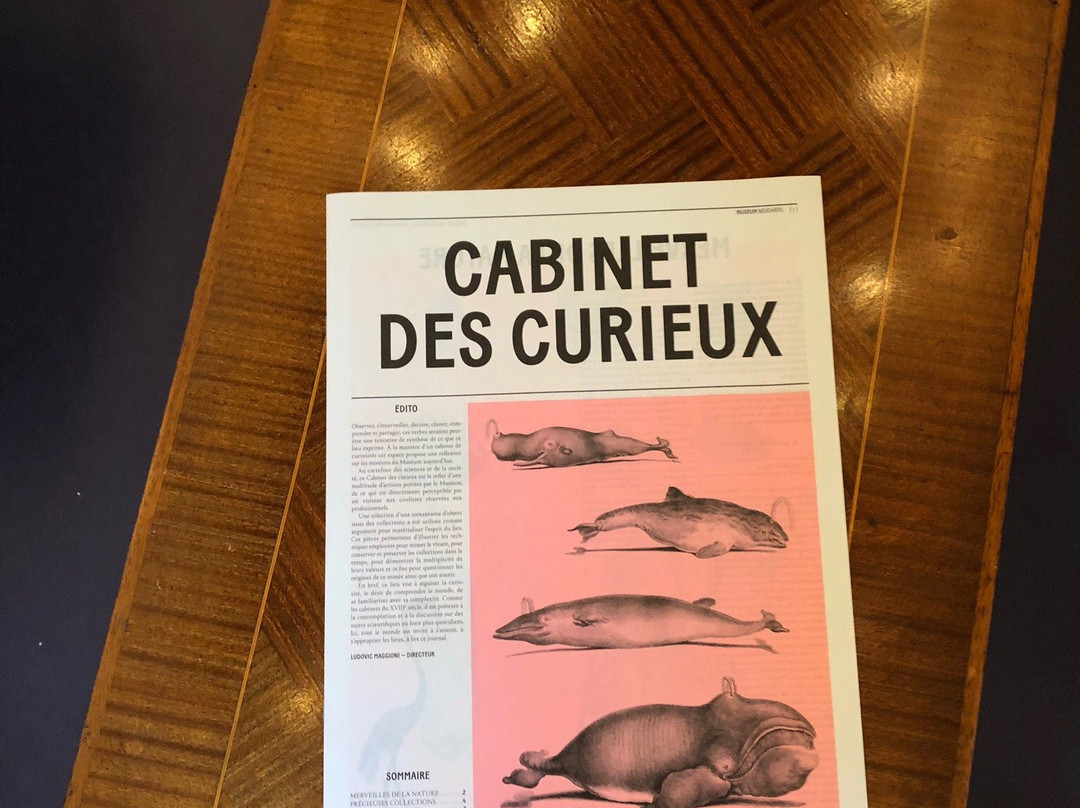 Museum d'histoire naturelle-纳沙泰尔必去景点