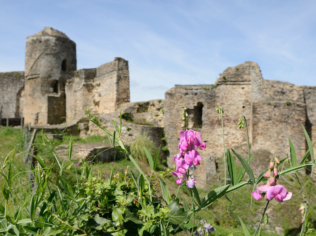 Chateau Medieval de Pouance景点图片