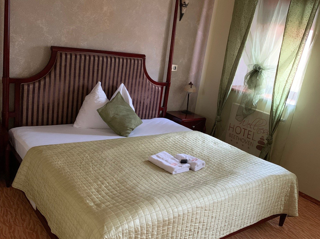 Wellness Hotel Beethoven主图
