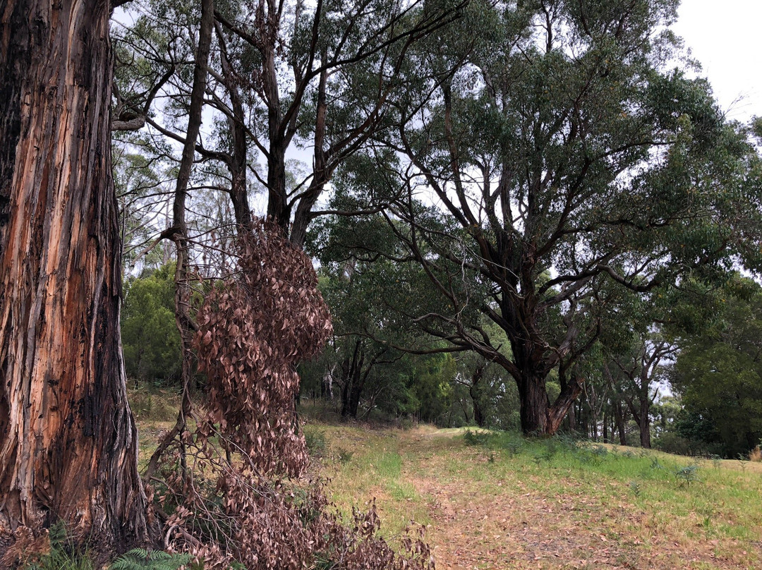 Pioneer Reserve-Kongwak必去景点
