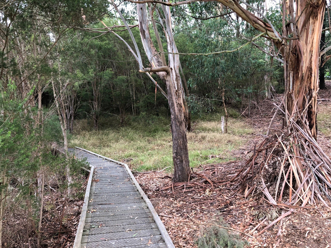 Krowera旅游景点-Pioneer Reserve