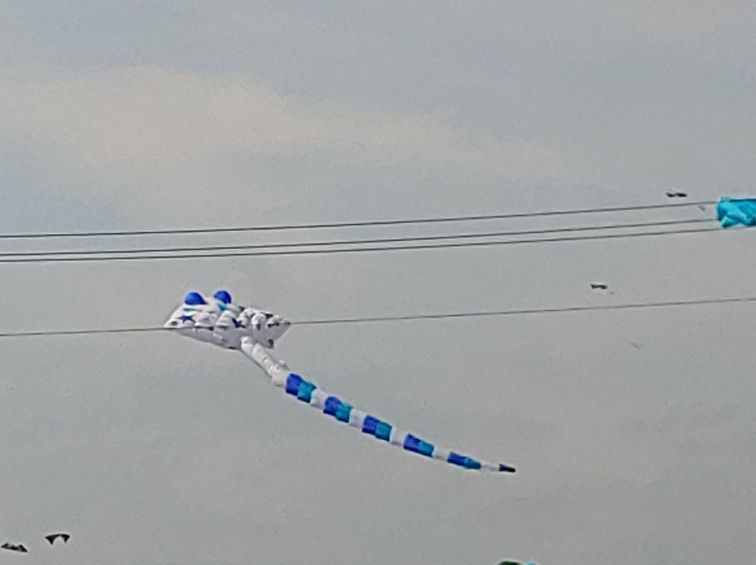 South Padre Island Convention Centre-南帕诸岛必去景点