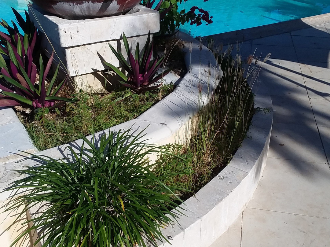 Bungalows on the Bay主图