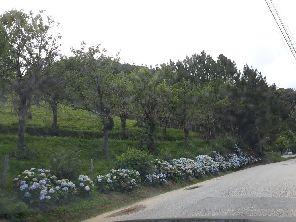 Cascata Trisamya景点图片