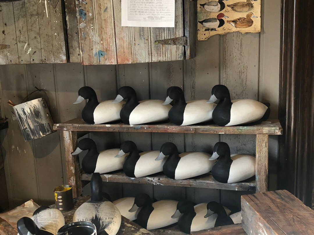 Chesapeake Bay Maritime Museum-Miles River Cruises-圣迈克必去景点