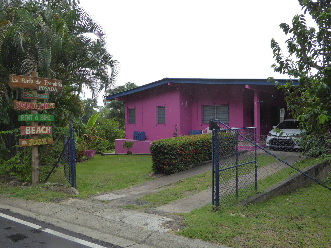 La Perla de Farallon主图