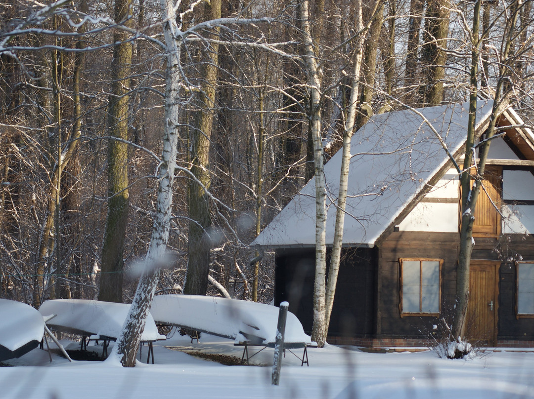 Kahnfahren-Spreewald-吕贝瑙必去景点