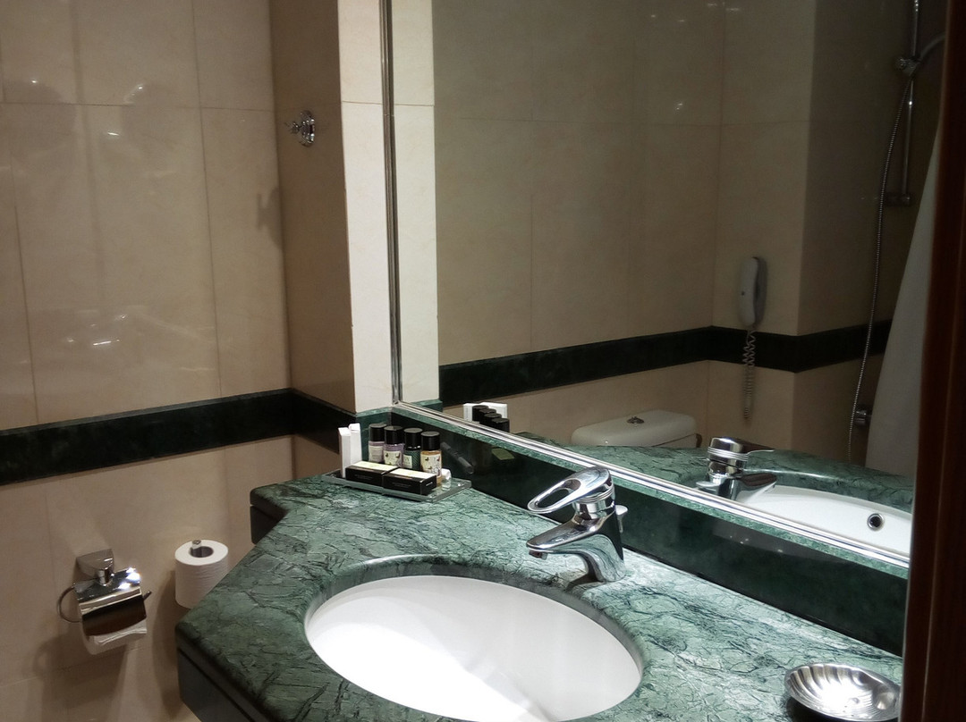 迪瓦尼拉里萨宫殿酒店主图