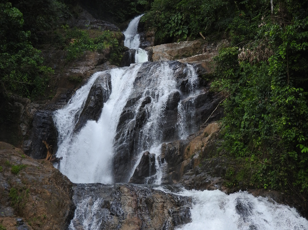 Estadero Ecoturistico Las Margaritas-La Montanita必去景点
