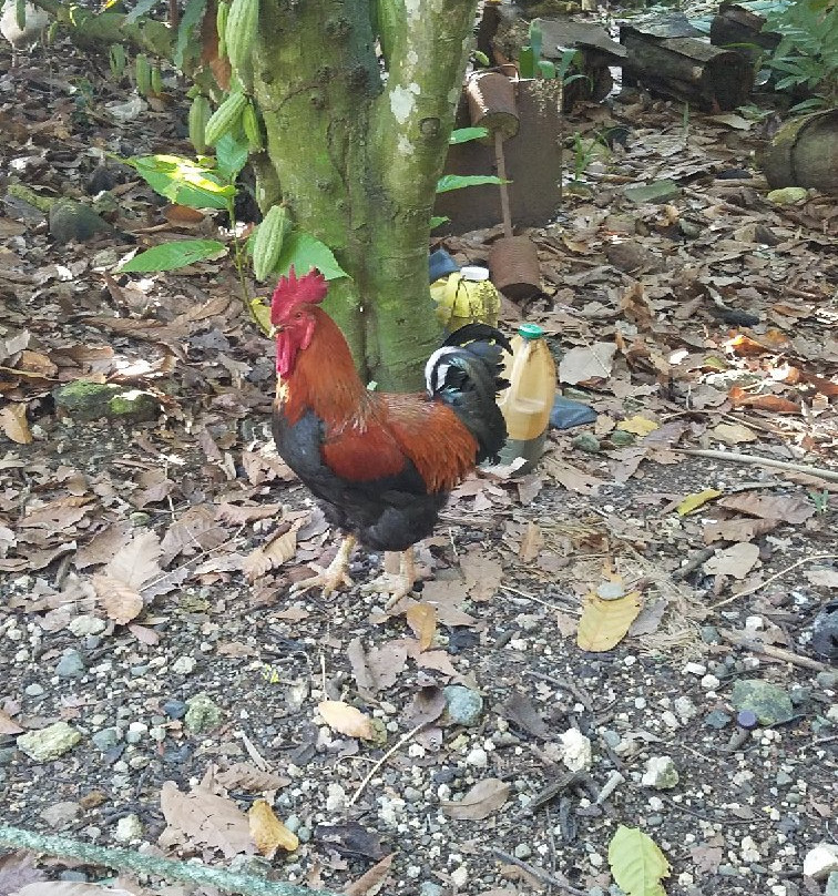 Funtours Cabarete-喀巴里特必去景点