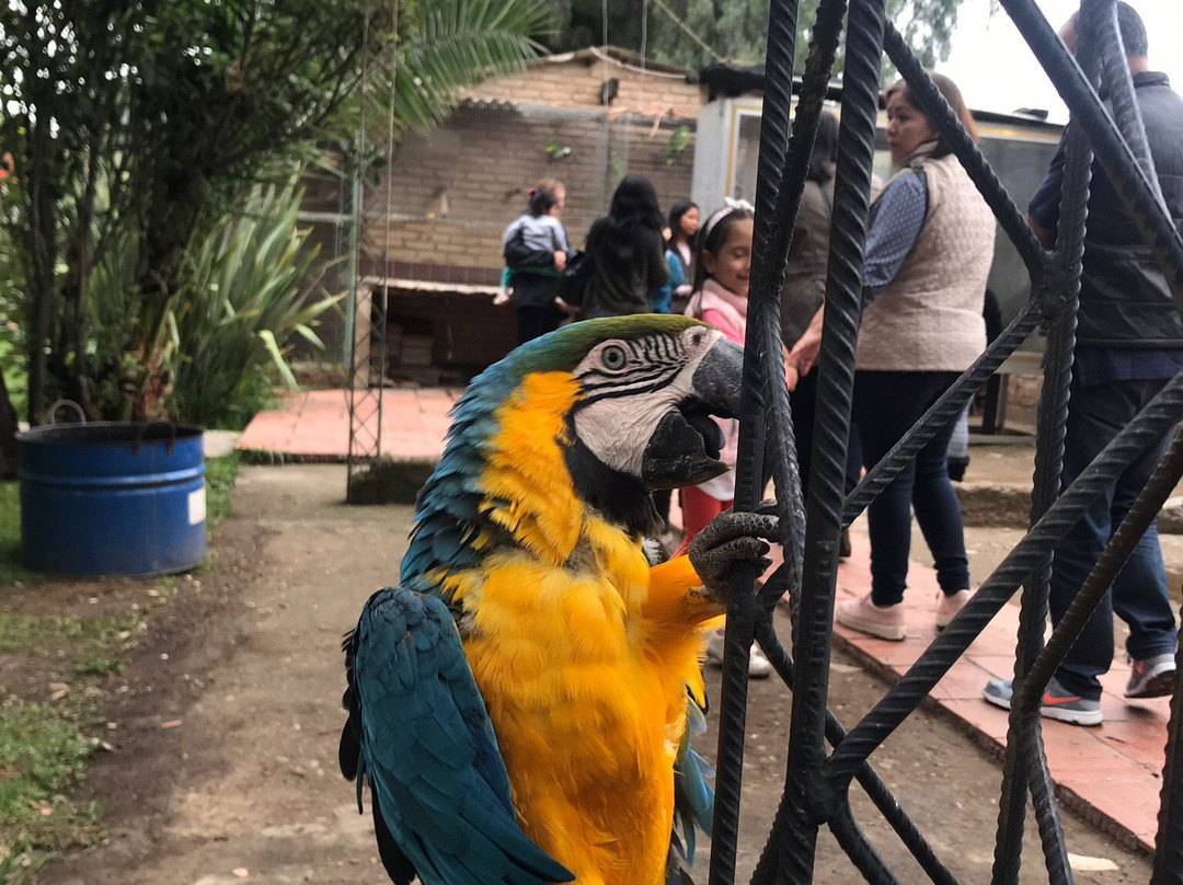 Parque de las Aves Agroflori景点图片