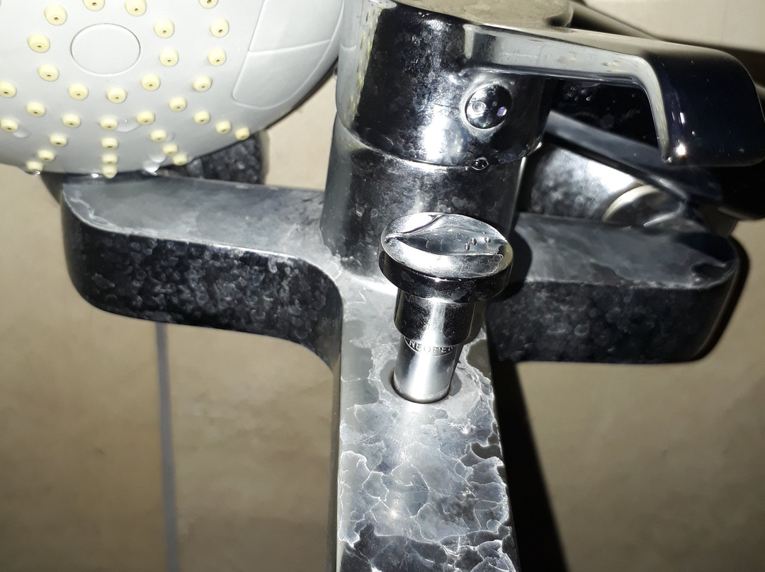 royal özçelik otel主图