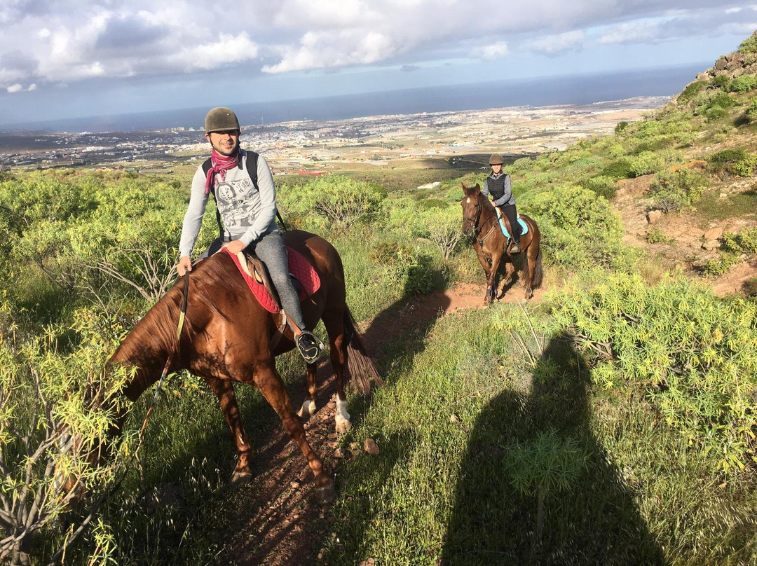Horse Riding Canaria景点图片