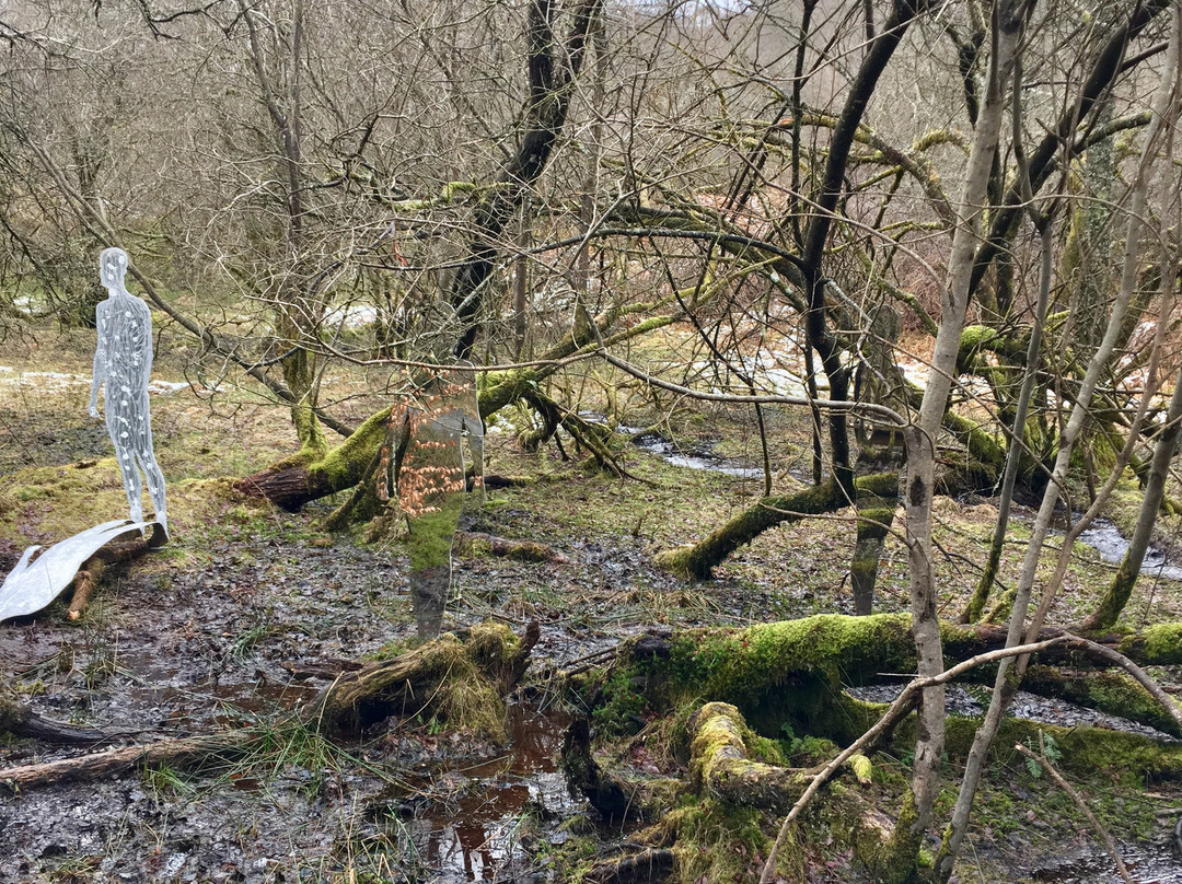 Queen Elizabeth Forest Park-洛蒙德湖与特罗萨克斯山国家公园必去景点