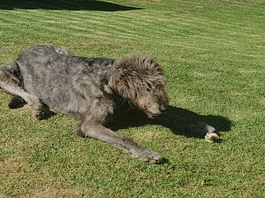 Mitre's Edge Wine Estate-Klapmuts必去景点