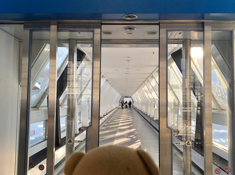 Mount Racey Ski Resort-夕张市必去景点