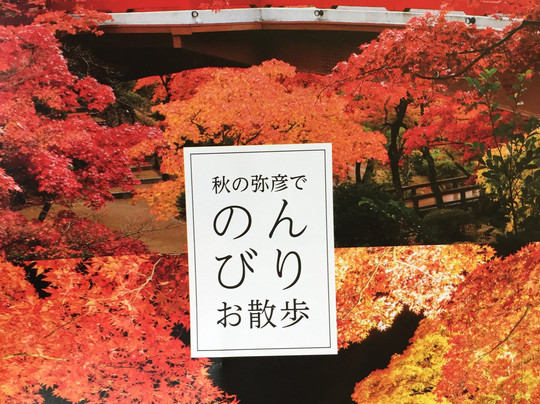 Maikai Ohana Tours-希洛必去景点