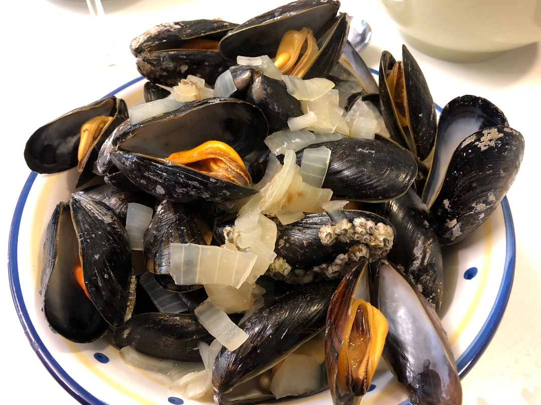 Conwy Mussels Co.景点图片