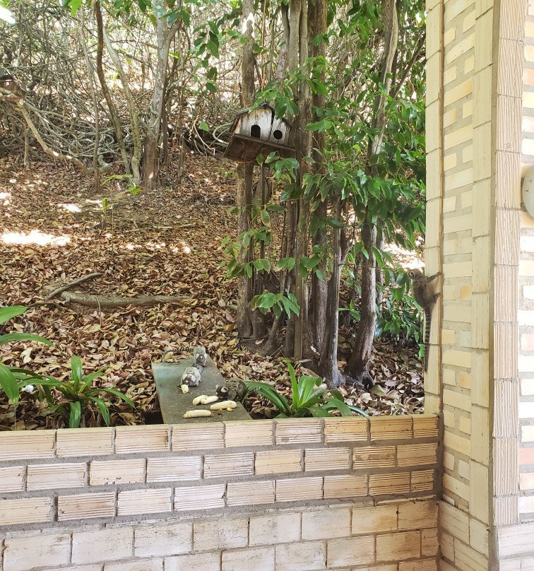 Pousada Do Forte主图