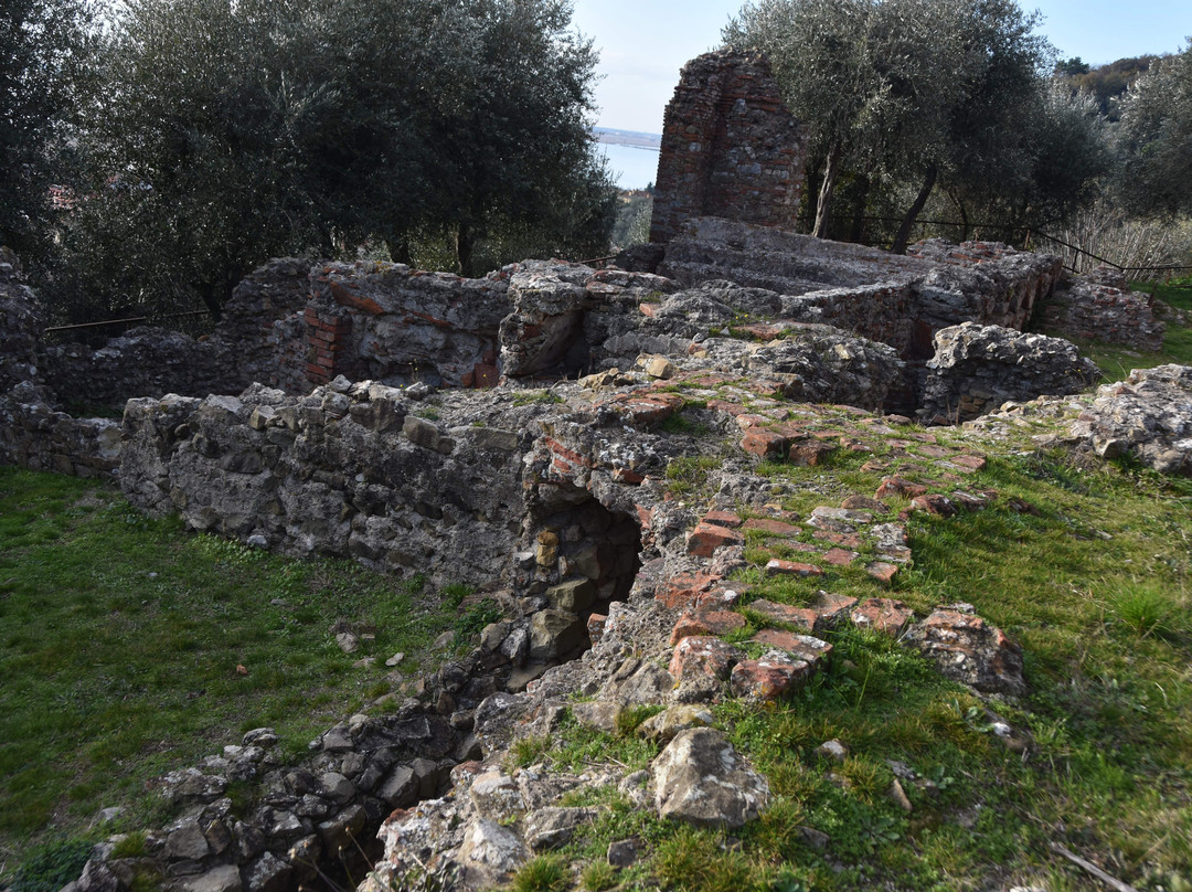 Area Archeologica Massaciuccoli Romana景点图片