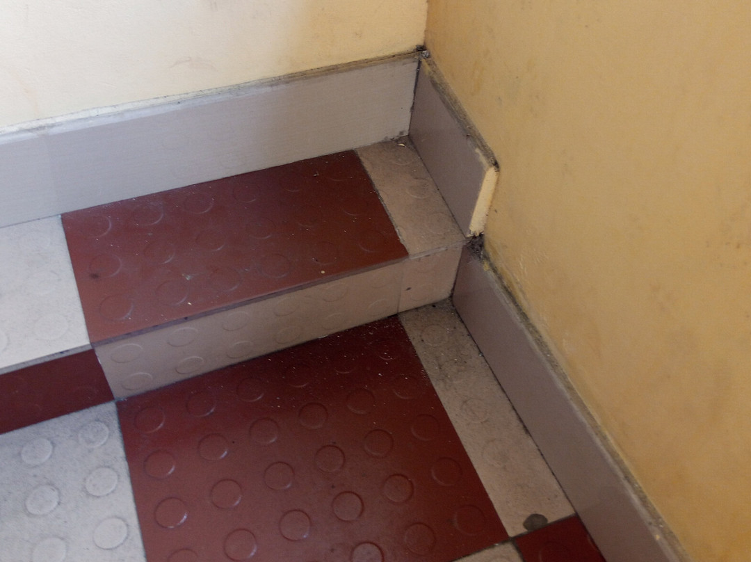 OYO 3020 Sheelisach Inn主图