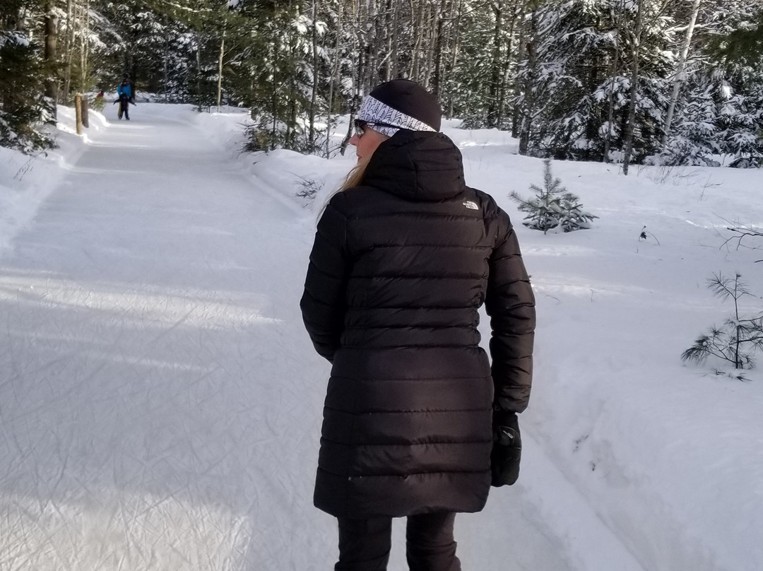 Patinage En Foret-Lac-des-Loups必去景点