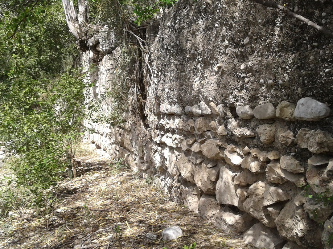 Ruinas del Ingenio Cepi Cepi-Las Charcas必去景点