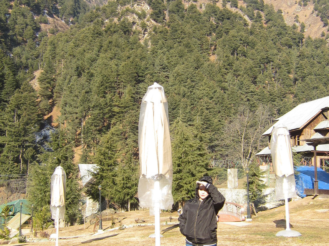 Kolahoi Green Resorts Pahalgam主图