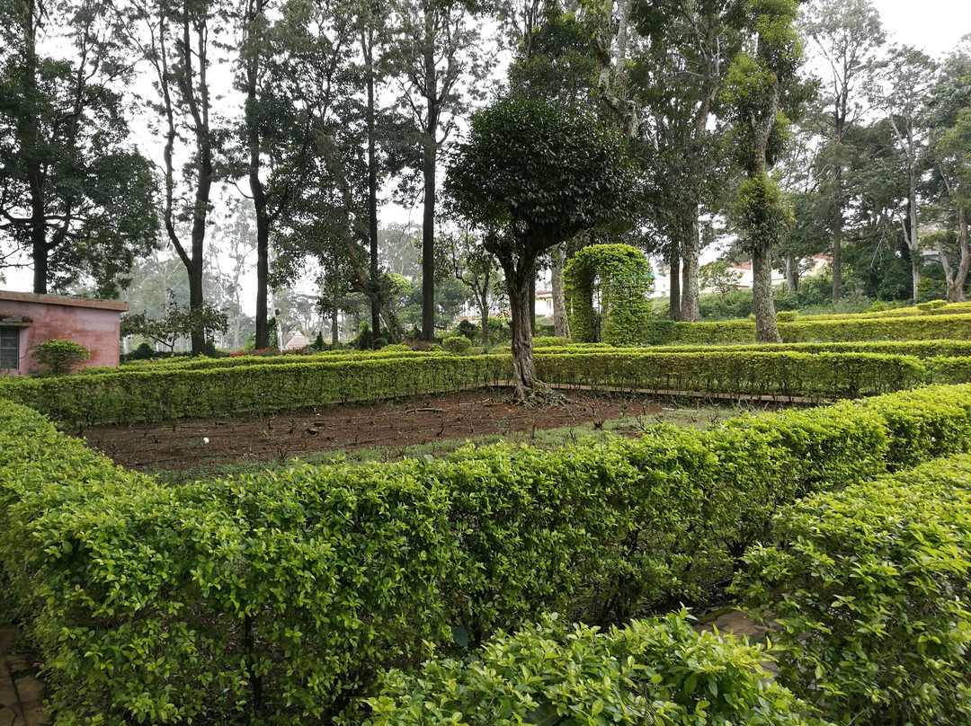 Rose Garden-亚尔考德必去景点