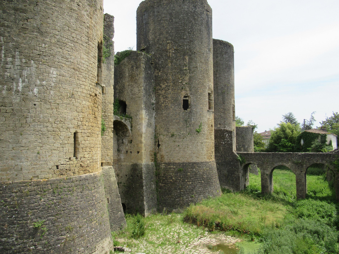 Château de Villandraut景点图片
