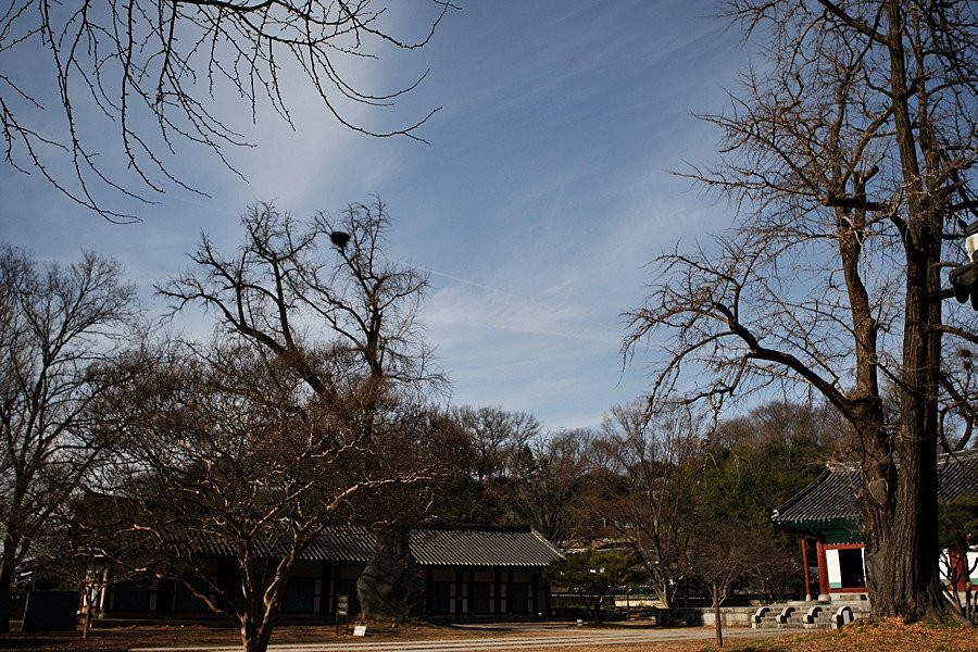 Jeonjuhyanggyo Confucian School-全州市必去景点