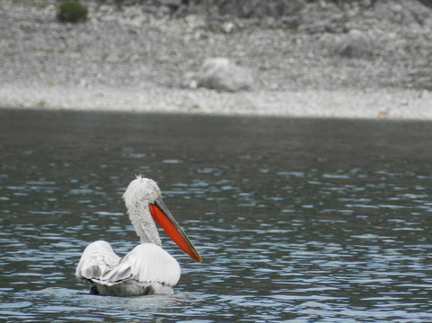 Odisea Travel Ohrid-奥赫里德必去景点