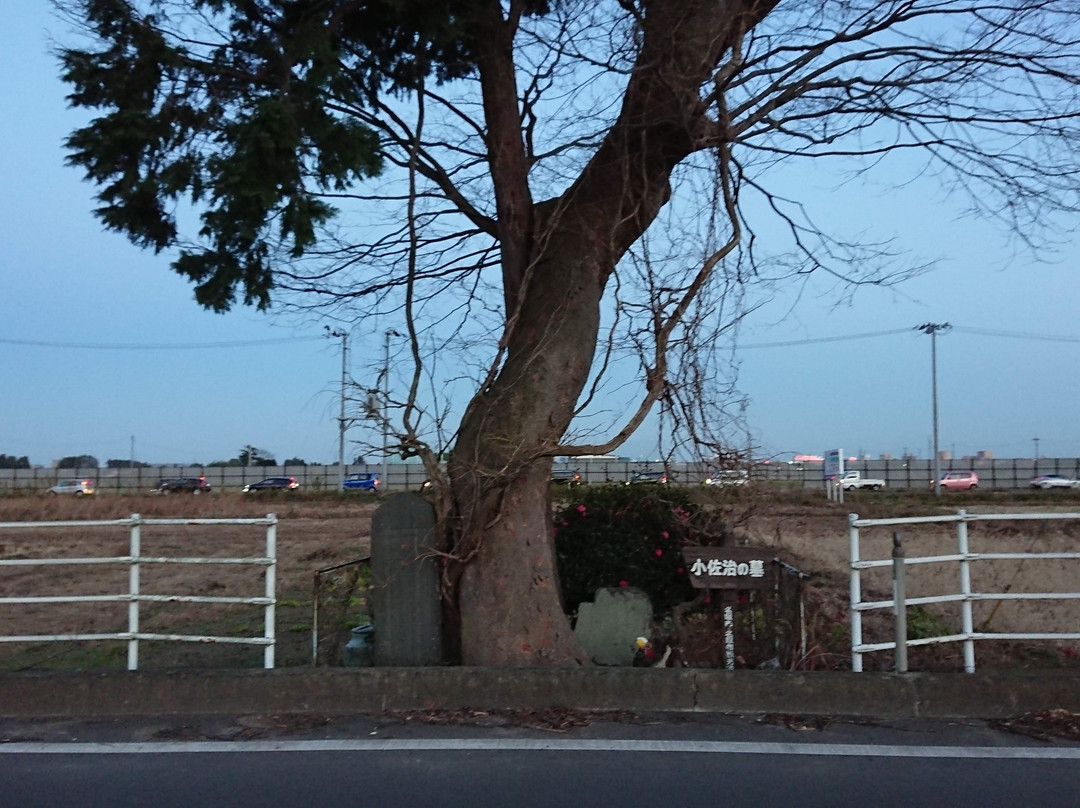 Tombstone of Ikuyo Princess and Kosaji