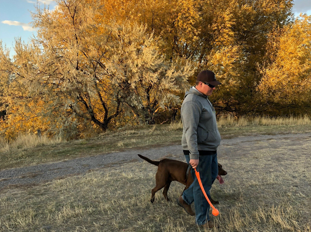 Mayor's Landing-利文斯顿必去景点