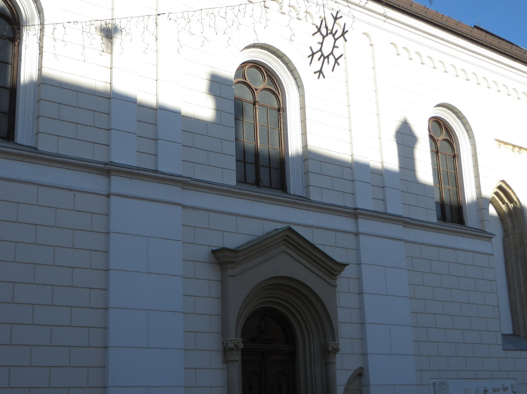 The Virgin Mary's Assumption Church-Celje必去景点
