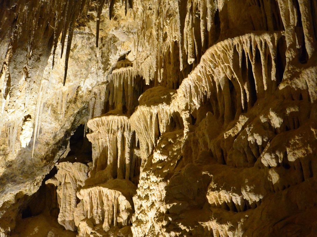 Mitchell Caverns景点图片