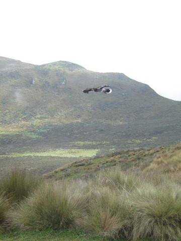 Cicloturismo Quito Ecuador-基多必去景点
