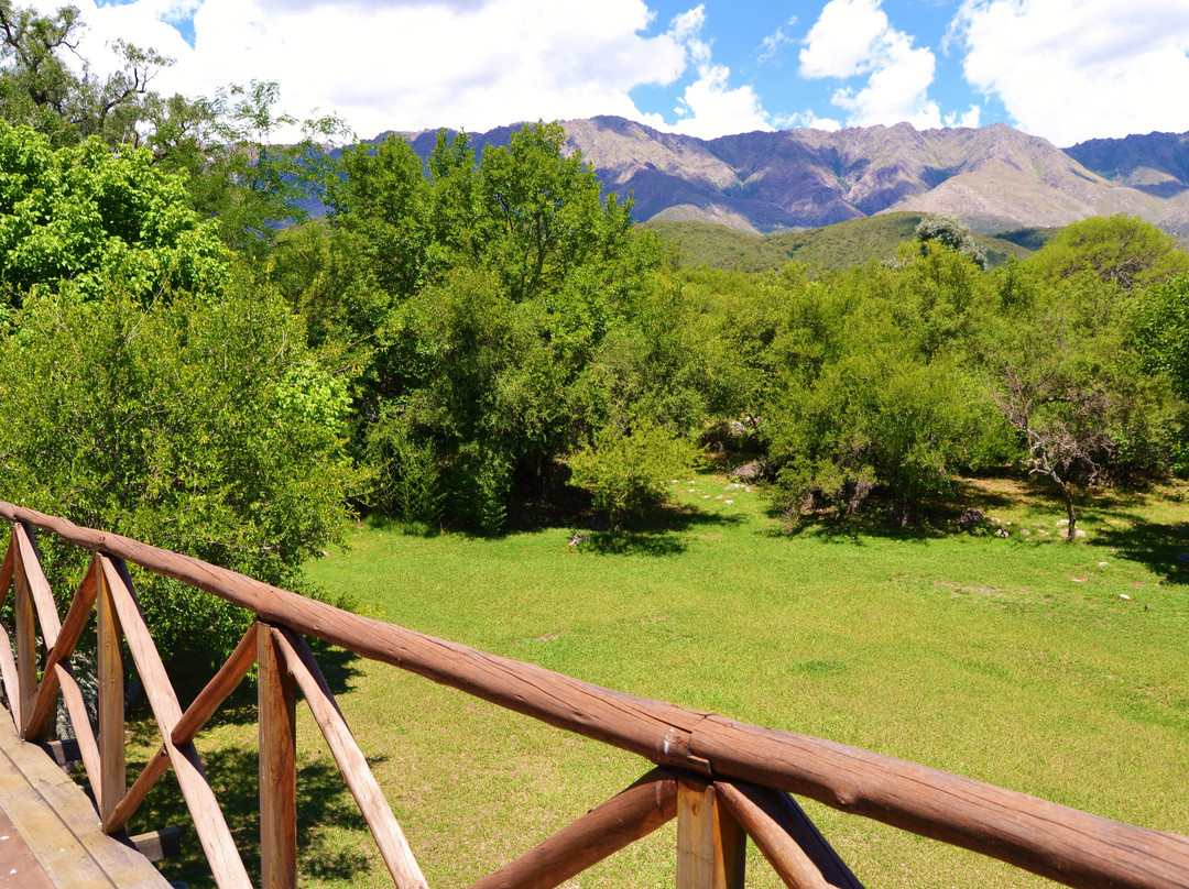 Cabañas El Algodonal主图