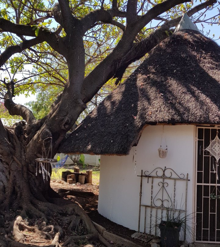 De Kunst Huisje主图