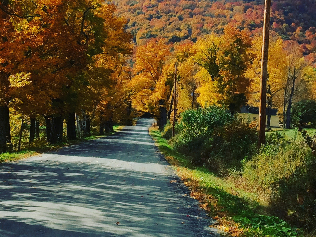 Johnnycake Flats Inn主图