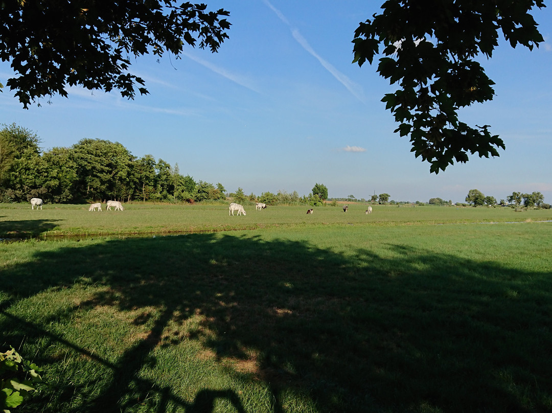 Camping de Landhoeve Lekkerland Lekdij主图