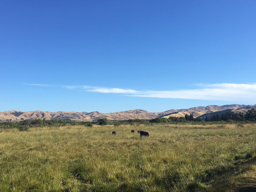 Misty River Retreat主图