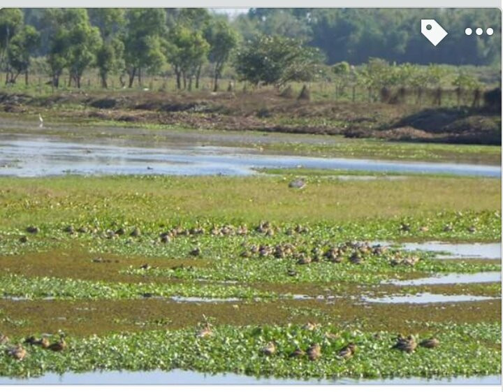 Rasikbil-Alipurduar必去景点