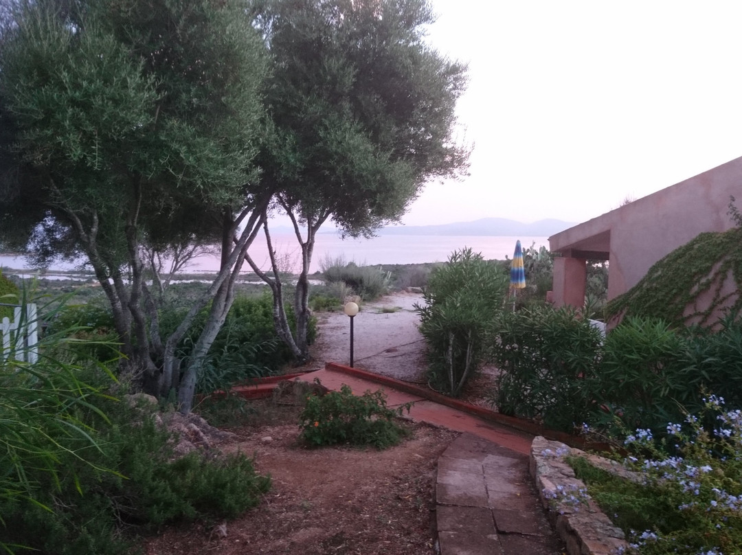 Residence Baia Salinedda主图