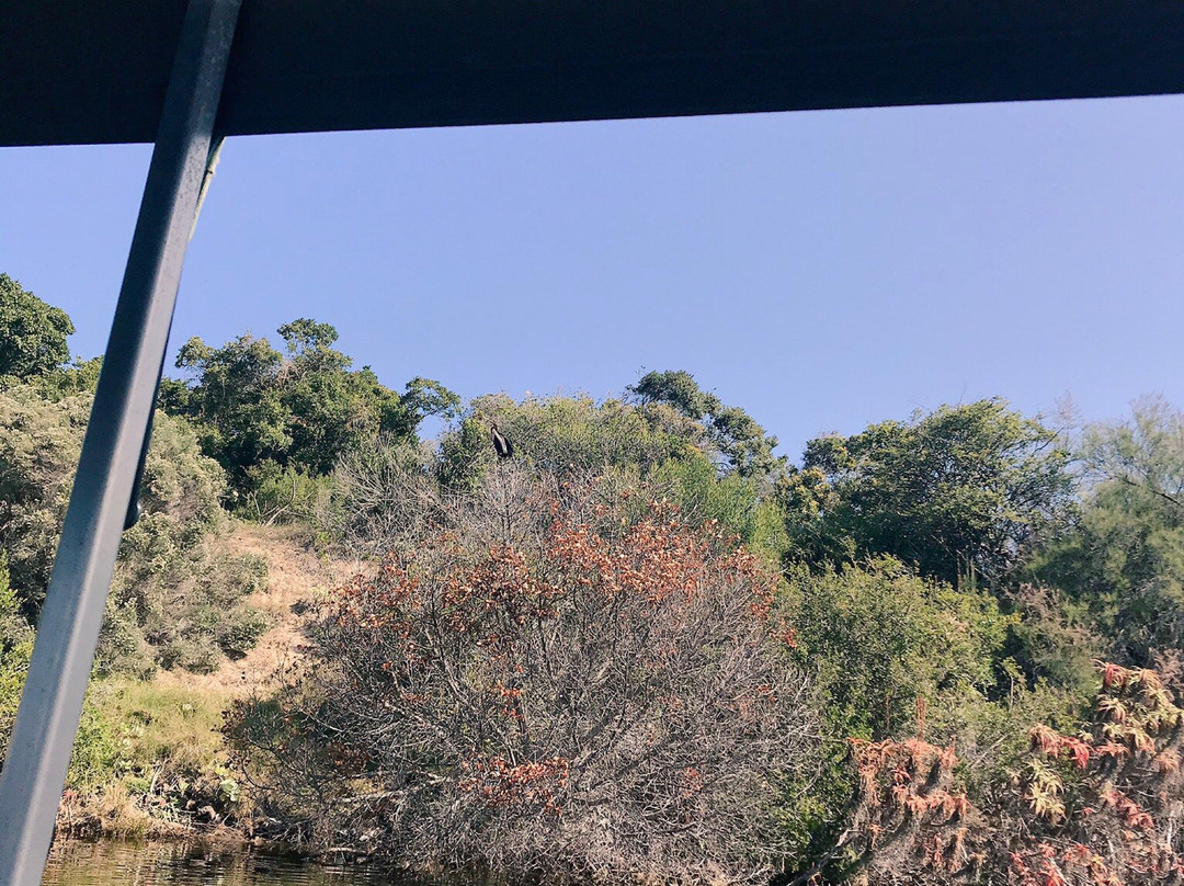 Wilderness River Safaris-荒野必去景点