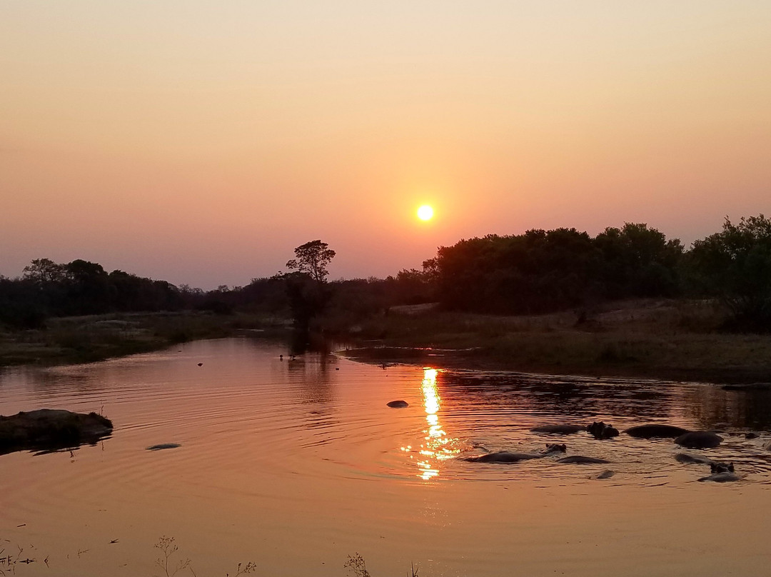 Spurwing Tourism Services-约翰内斯堡必去景点