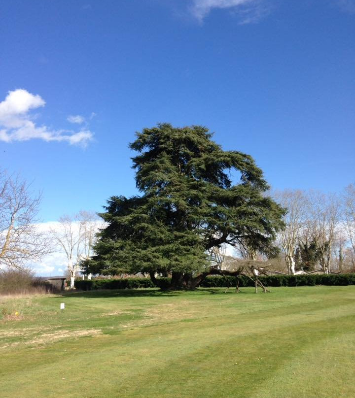 Golf d'Aigueleze-Rivieres必去景点